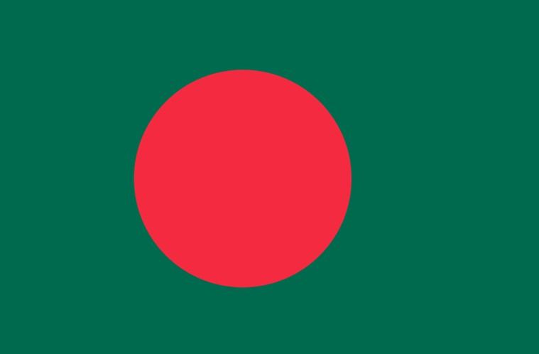 Bengali flag